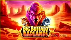Big Wild Buffalo