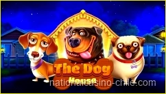 The Dog House